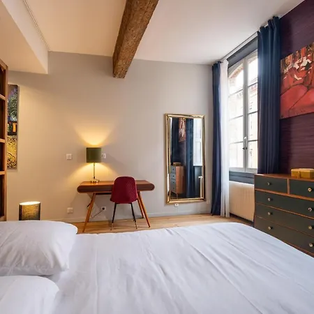 Appartement De Prestige - Rue Des Arts Toulouse Exterior foto