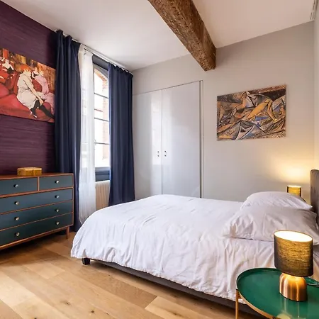 Appartement De Prestige - Rue Des Arts Toulouse Exterior foto